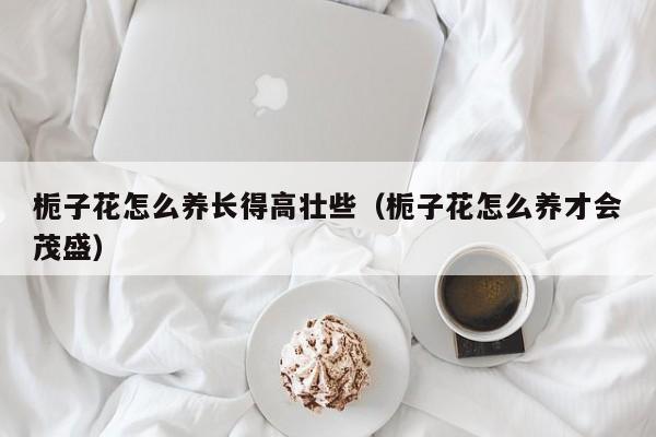 栀子花怎么养长得高壮些（栀子花怎么养才会茂盛）