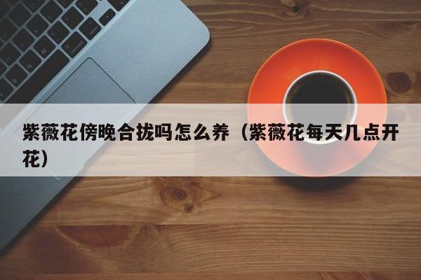 紫薇花傍晚合拢吗怎么养（紫薇花每天几点开花）