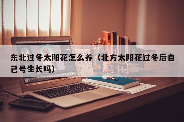 东北过冬太阳花怎么养（北方太阳花过冬后自己号生长吗）