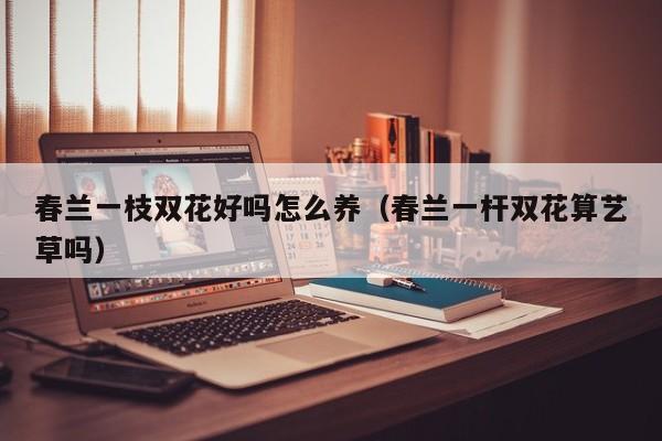 春兰一枝双花好吗怎么养（春兰一杆双花算艺草吗）