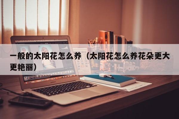 一般的太阳花怎么养（太阳花怎么养花朵更大更艳丽）