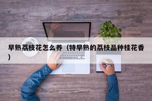 早熟荔枝花怎么养（特早熟的荔枝品种桂花香）