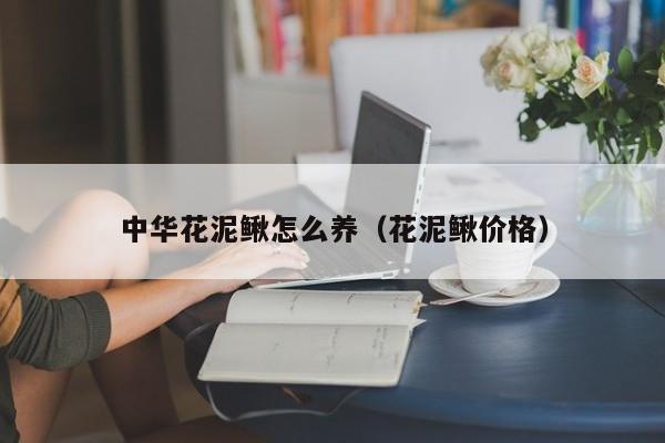 中华花泥鳅怎么养（花泥鳅价格）