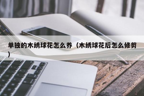 单独的木绣球花怎么养（木绣球花后怎么修剪）