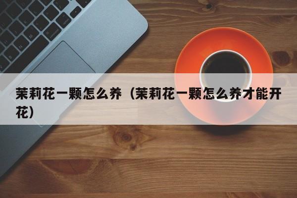 茉莉花一颗怎么养（茉莉花一颗怎么养才能开花）