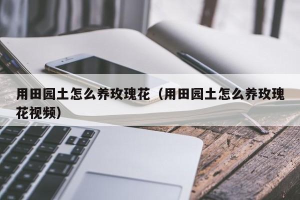 用田园土怎么养玫瑰花（用田园土怎么养玫瑰花视频）