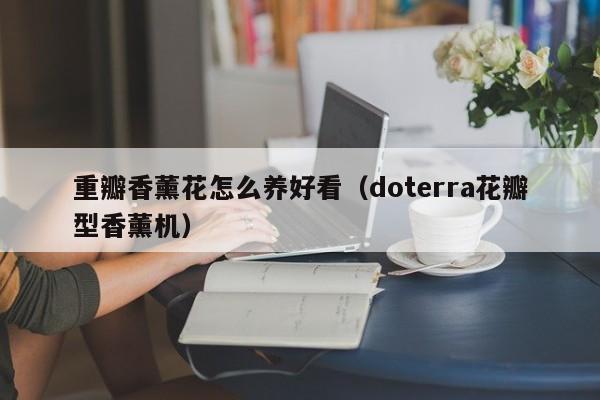 重瓣香薰花怎么养好看（doterra花瓣型香薰机）