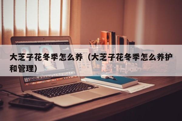大芝子花冬季怎么养（大芝子花冬季怎么养护和管理）