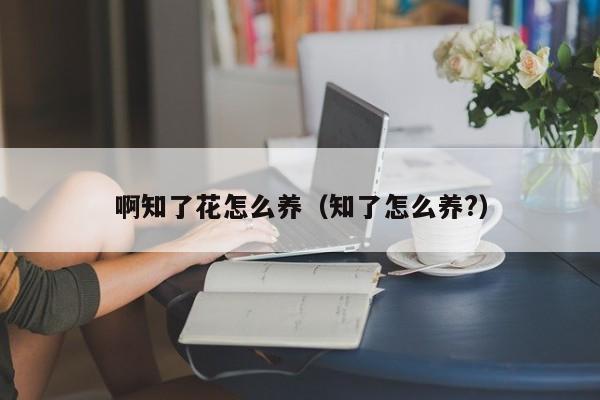 啊知了花怎么养（知了怎么养?）