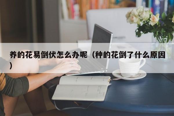 养的花易倒伏怎么办呢（种的花倒了什么原因）
