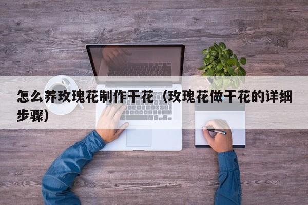 怎么养玫瑰花制作干花（玫瑰花做干花的详细步骤）