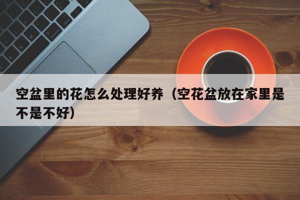 空盆里的花怎么处理好养（空花盆放在家里是不是不好）