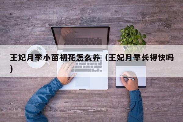 王妃月季小苗初花怎么养（王妃月季长得快吗）