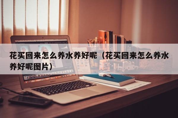 花买回来怎么养水养好呢（花买回来怎么养水养好呢图片）
