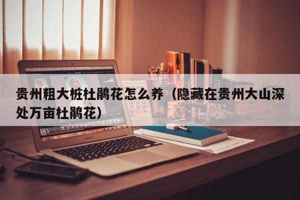贵州粗大桩杜鹃花怎么养（隐藏在贵州大山深处万亩杜鹃花）