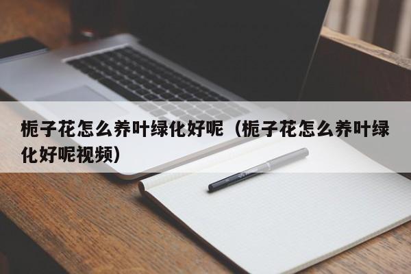 栀子花怎么养叶绿化好呢（栀子花怎么养叶绿化好呢视频）