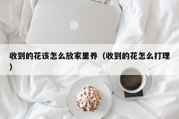 收到的花该怎么放家里养（收到的花怎么打理）