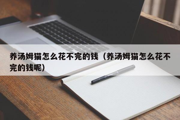 养汤姆猫怎么花不完的钱（养汤姆猫怎么花不完的钱呢）