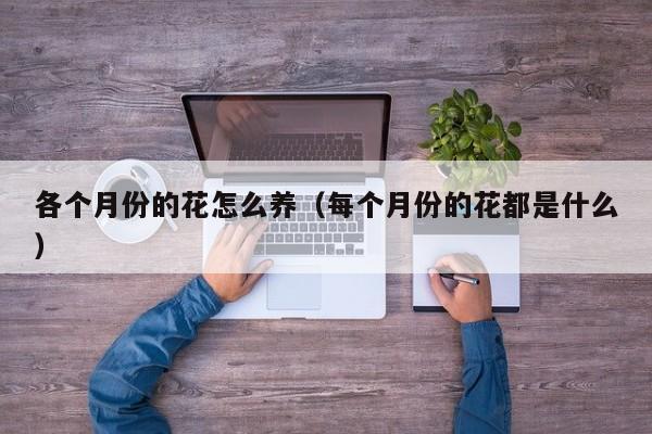 各个月份的花怎么养（每个月份的花都是什么）