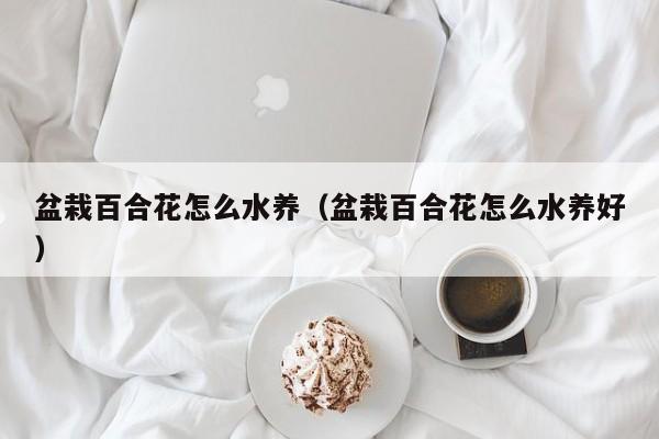 盆栽百合花怎么水养（盆栽百合花怎么水养好）