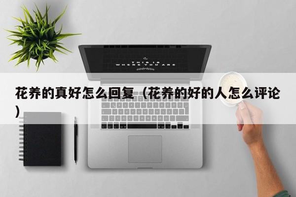 花养的真好怎么回复（花养的好的人怎么评论）