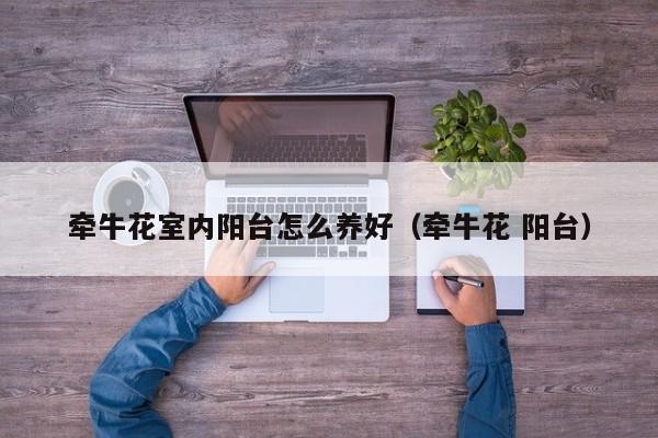 牵牛花室内阳台怎么养好（牵牛花 阳台）