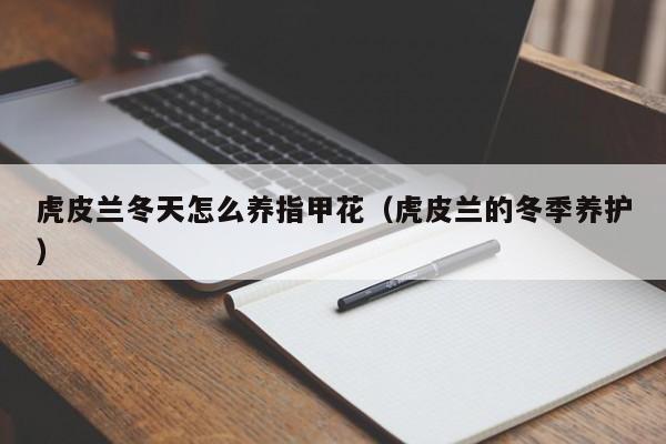 虎皮兰冬天怎么养指甲花（虎皮兰的冬季养护）