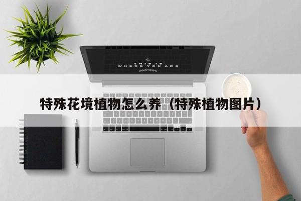 特殊花境植物怎么养（特殊植物图片）
