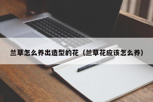 兰草怎么养出造型的花（兰草花应该怎么养）