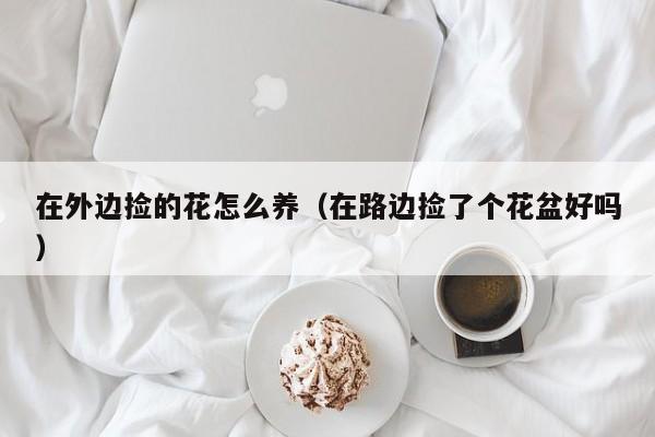 在外边捡的花怎么养（在路边捡了个花盆好吗）