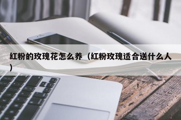 红粉的玫瑰花怎么养（红粉玫瑰适合送什么人）
