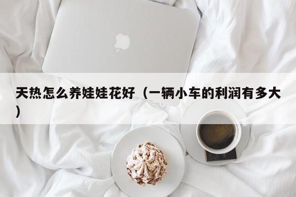 天热怎么养娃娃花好（一辆小车的利润有多大）