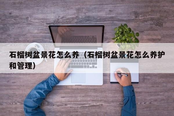 石榴树盆景花怎么养（石榴树盆景花怎么养护和管理）