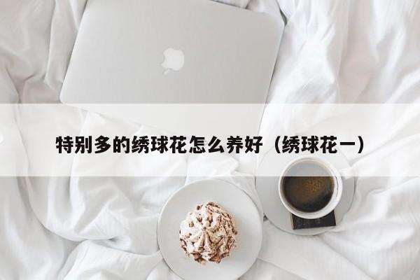 特别多的绣球花怎么养好（绣球花一）