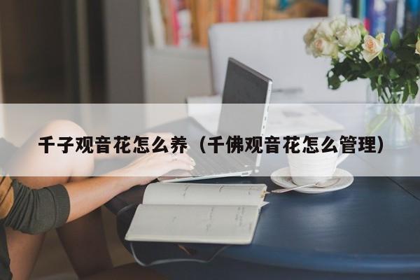 千子观音花怎么养（千佛观音花怎么管理）