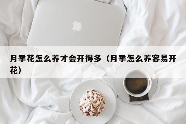 月季花怎么养才会开得多（月季怎么养容易开花）