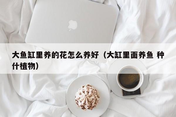 大鱼缸里养的花怎么养好（大缸里面养鱼 种什植物）