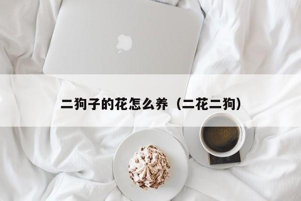 二狗子的花怎么养（二花二狗）