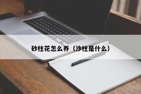 砂柱花怎么养（沙柱是什么）