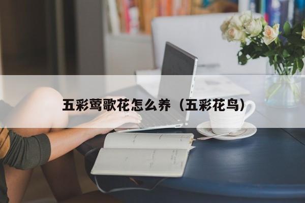 五彩莺歌花怎么养（五彩花鸟）