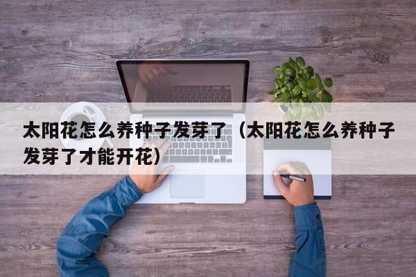太阳花怎么养种子发芽了（太阳花怎么养种子发芽了才能开花）