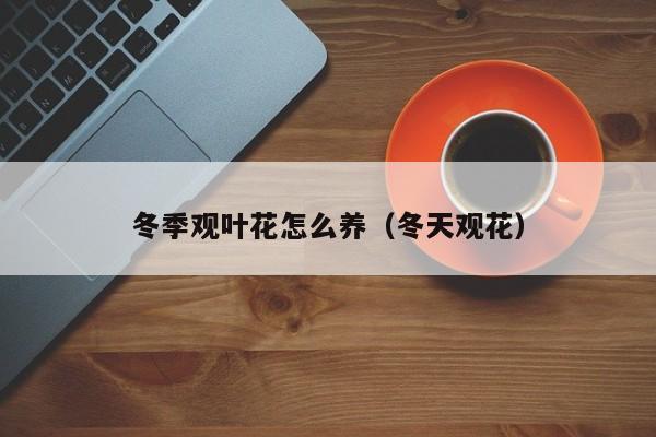 冬季观叶花怎么养（冬天观花）