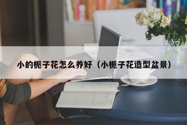 小的栀子花怎么养好（小栀子花造型盆景）