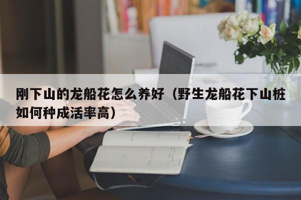 刚下山的龙船花怎么养好（野生龙船花下山桩如何种成活率高）