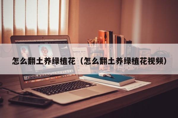 怎么翻土养绿植花（怎么翻土养绿植花视频）
