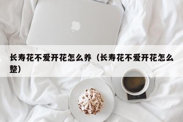 长寿花不爱开花怎么养（长寿花不爱开花怎么整）