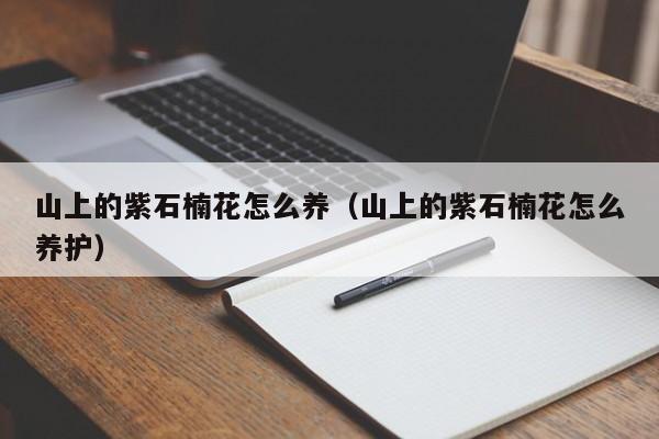 山上的紫石楠花怎么养（山上的紫石楠花怎么养护）