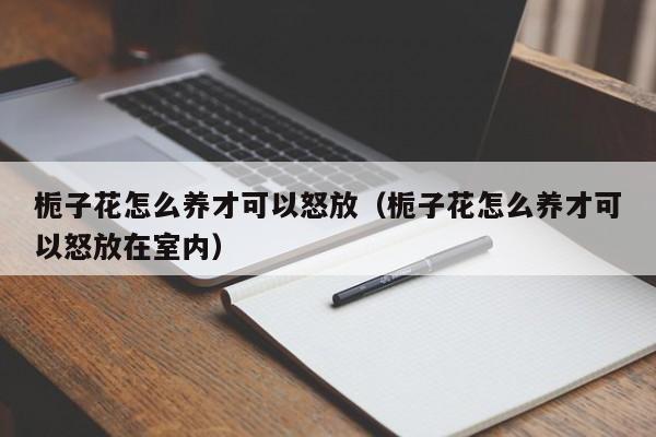 栀子花怎么养才可以怒放（栀子花怎么养才可以怒放在室内）