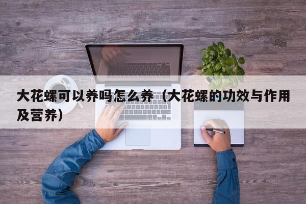 大花螺可以养吗怎么养（大花螺的功效与作用及营养）