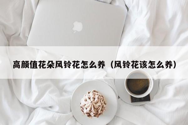 高颜值花朵风铃花怎么养（风铃花该怎么养）